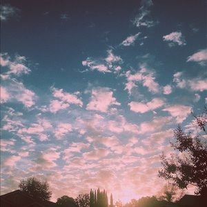 Meet your Posher, Ariana